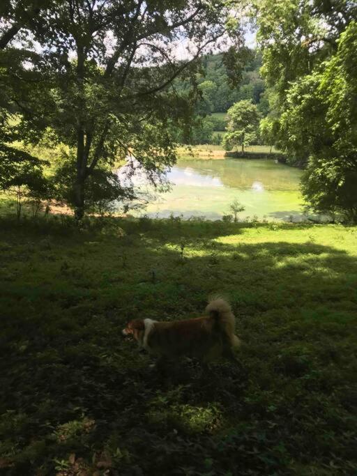 Pleasant Valley Farm Dairy Barn Writer'S Retreat Columbia Bagian luar foto